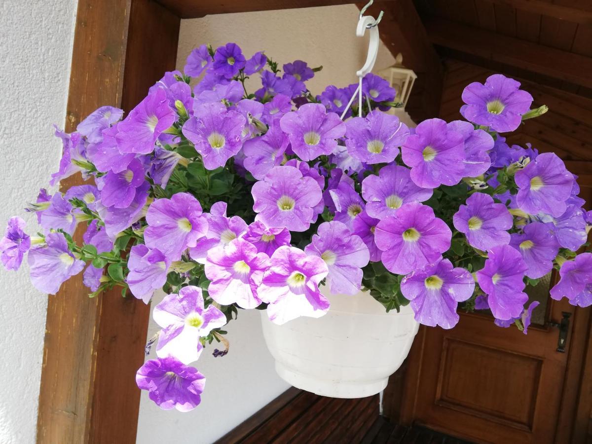 Haus Annemarie Apartments Kartitsch - Hochpustertal מראה חיצוני תמונה