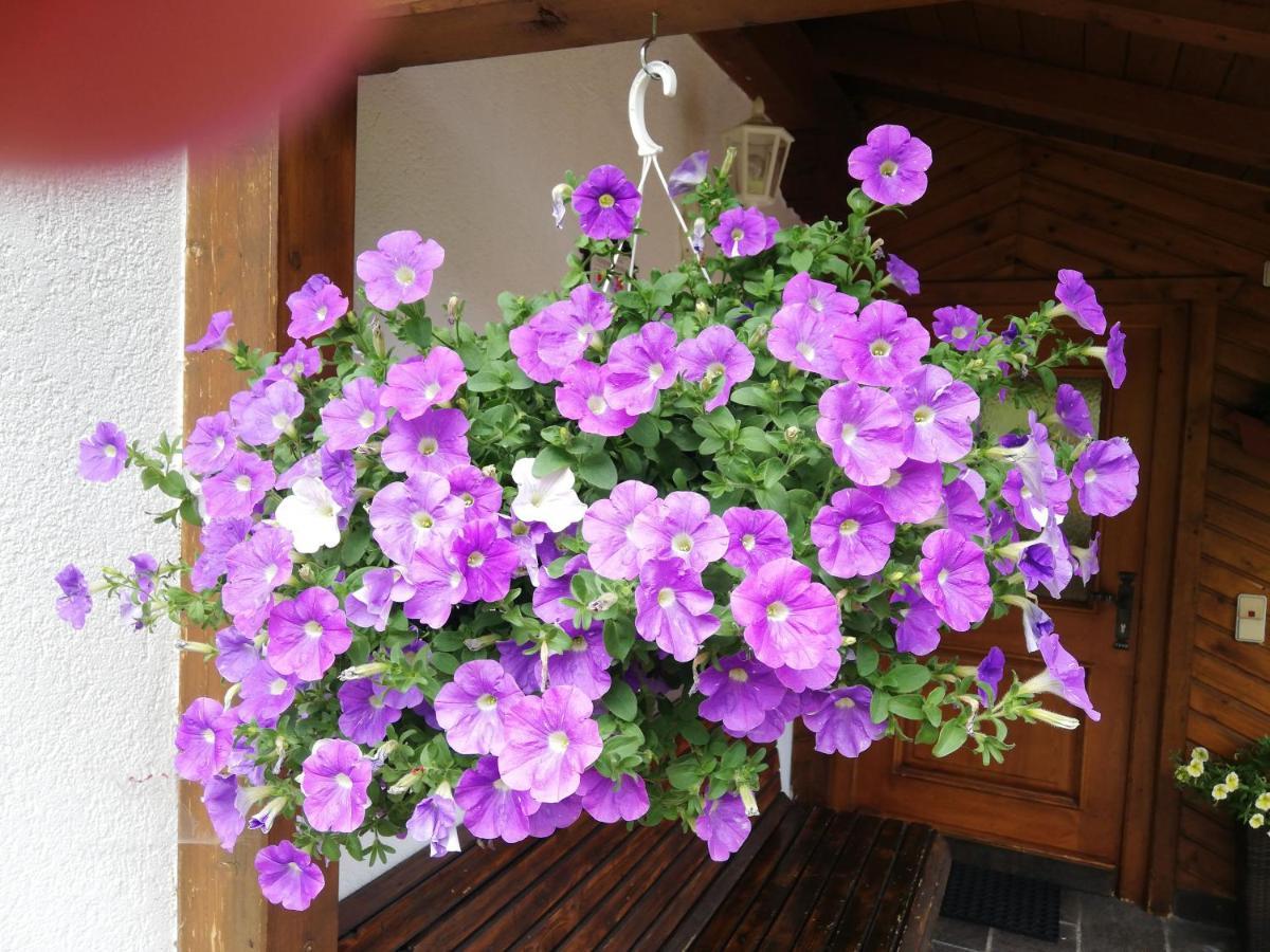 Haus Annemarie Apartments Kartitsch - Hochpustertal מראה חיצוני תמונה