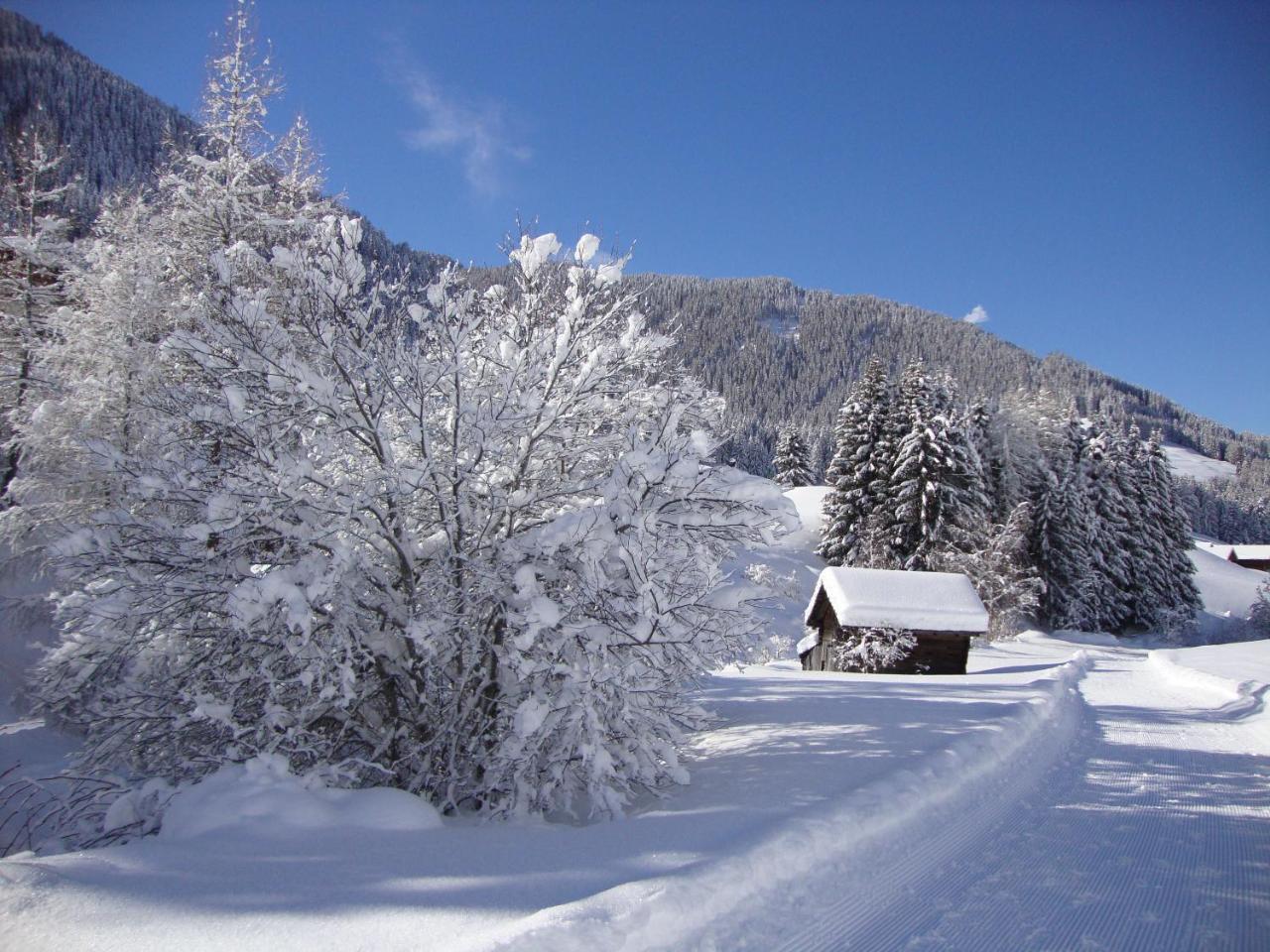 Haus Annemarie Apartments Kartitsch - Hochpustertal מראה חיצוני תמונה